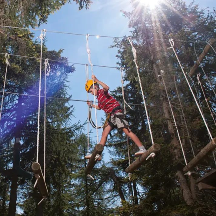 Apartment_Steiner_Sommer_flyingfox