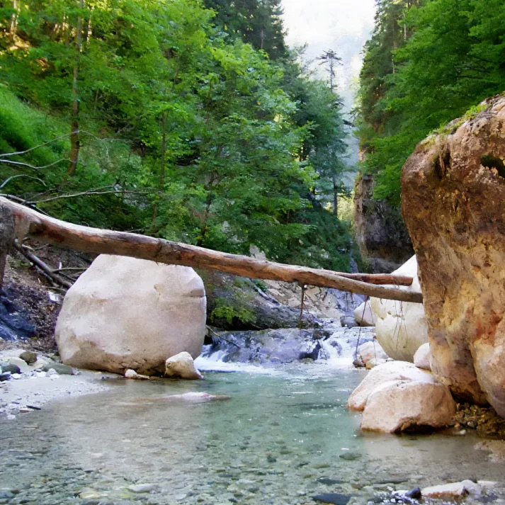 Apartment_Steiner_Sommer_gernitzenklamm